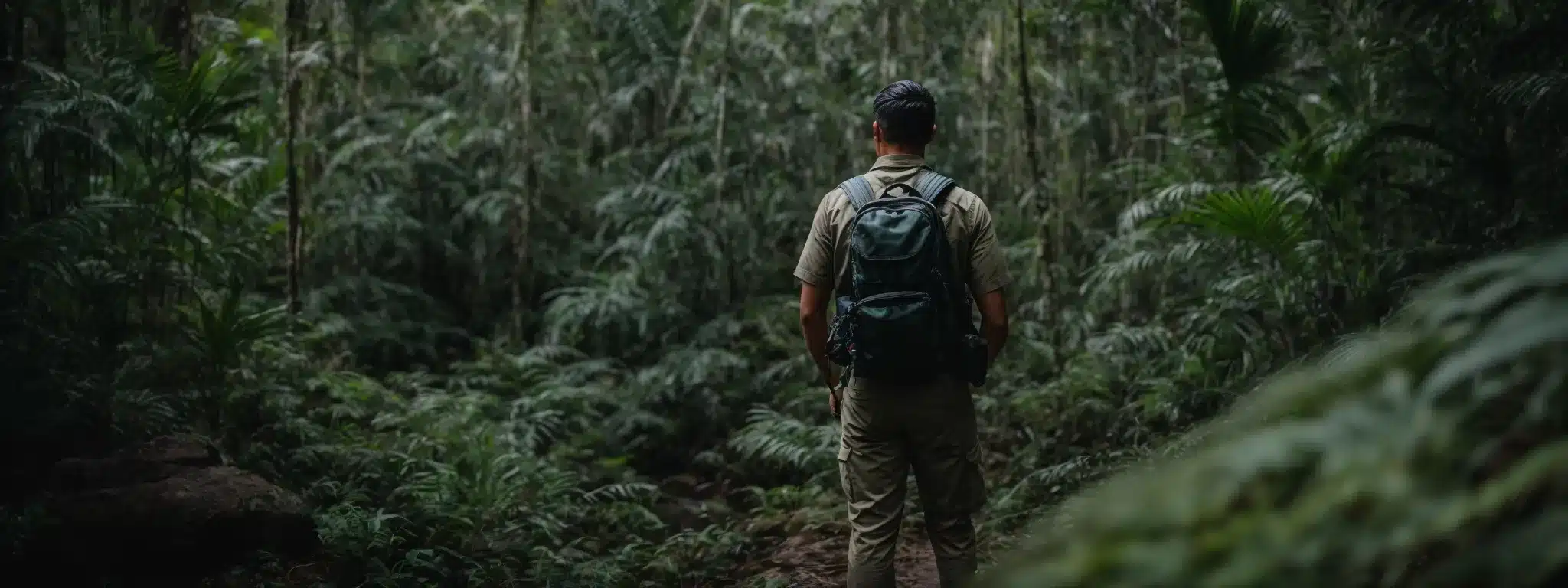 An Explorer Stands At The Edge Of A Dense Jungle, Compass In Hand, Ready To Navigate The Competitive Terrain.