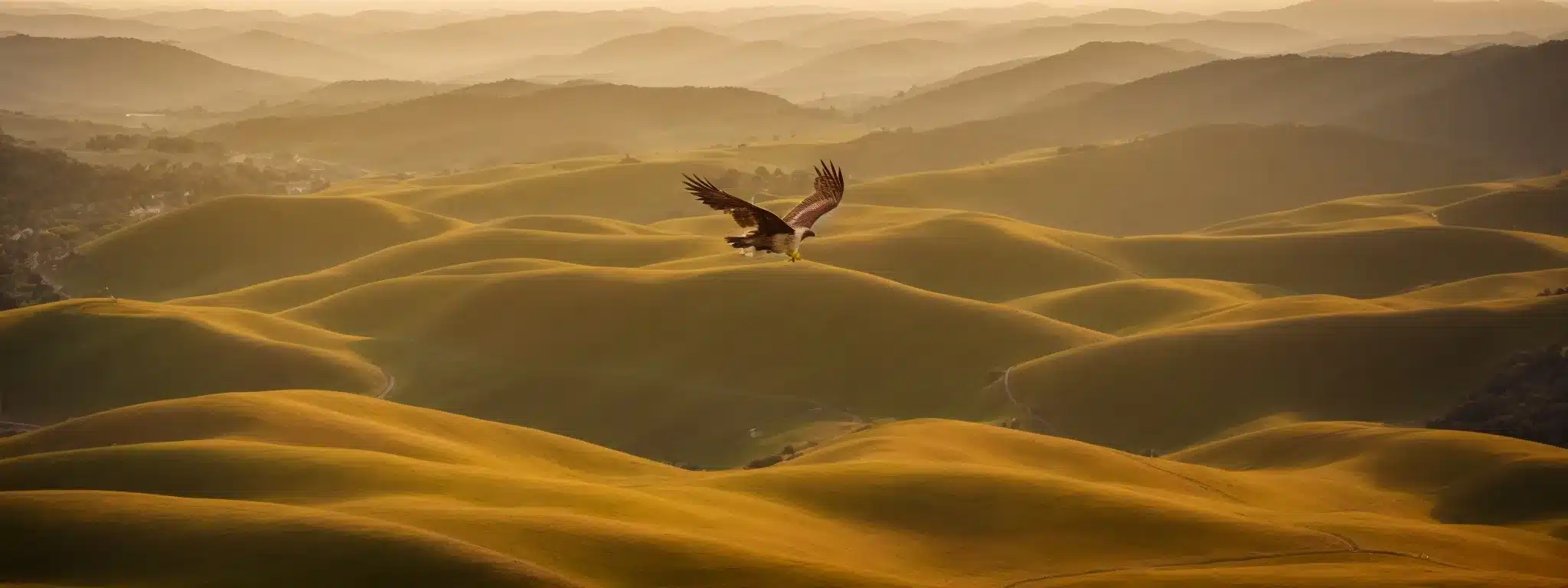 A Hawk Soaring High Above An Undulating Landscape Of Hills And Valleys Bathed In The Golden Light Of Dawn.
